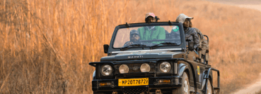 Jeep safari in kanha