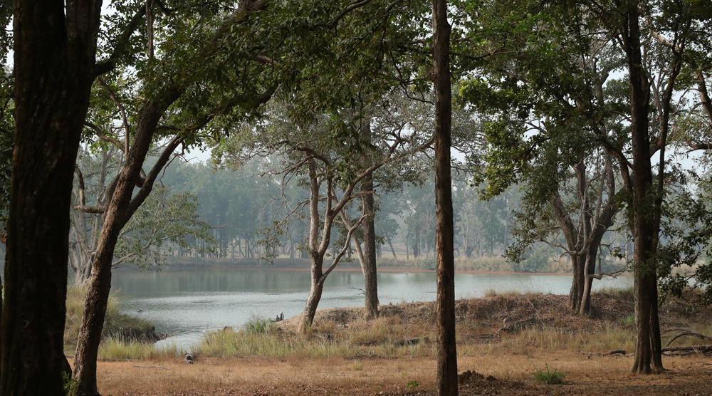 kanha national park