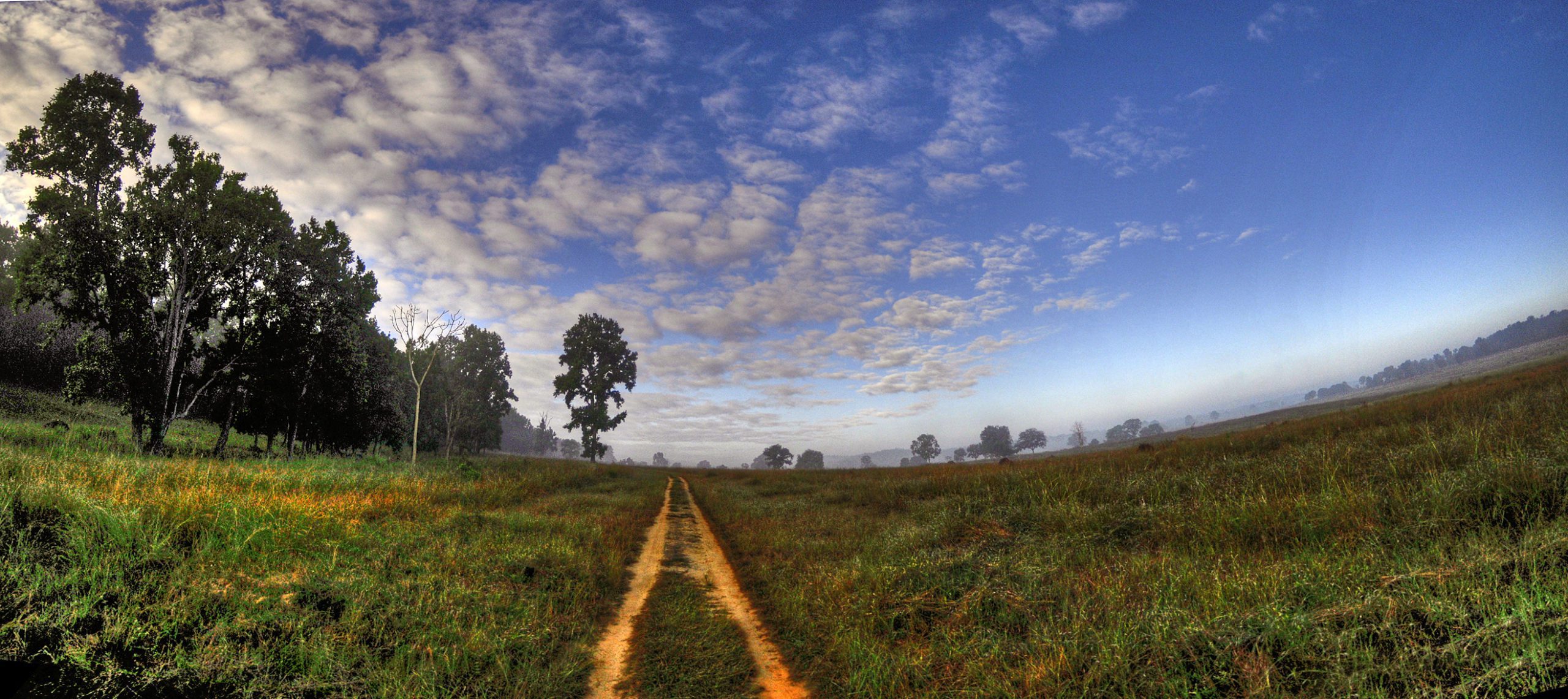 how to visit kanha