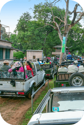 safari in kanha